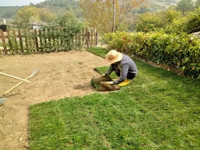 Başkent Peyzaj Mimarlık Çim'in Verimini Arttırmak